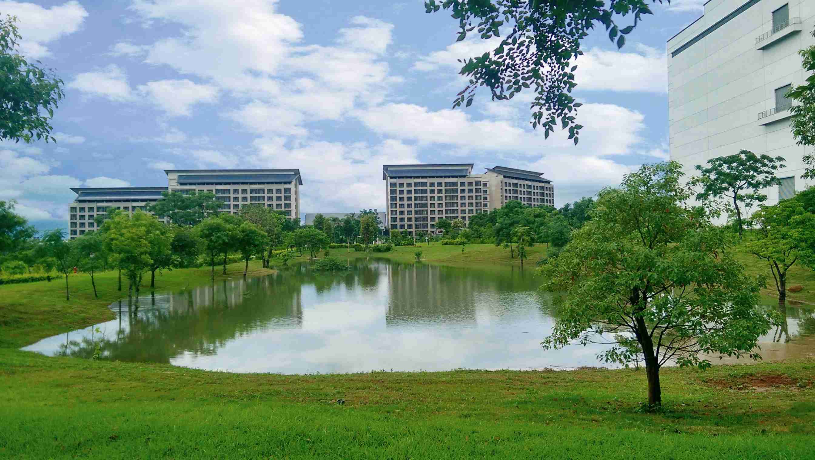 2121非凡响应国际倡议生物多样性趋势，，，，首次发布TNFD自然相关财务揭露报告书，，擘划及开展2121非凡生物多样性政策之承诺，，，逐步迈向与自然和谐共生