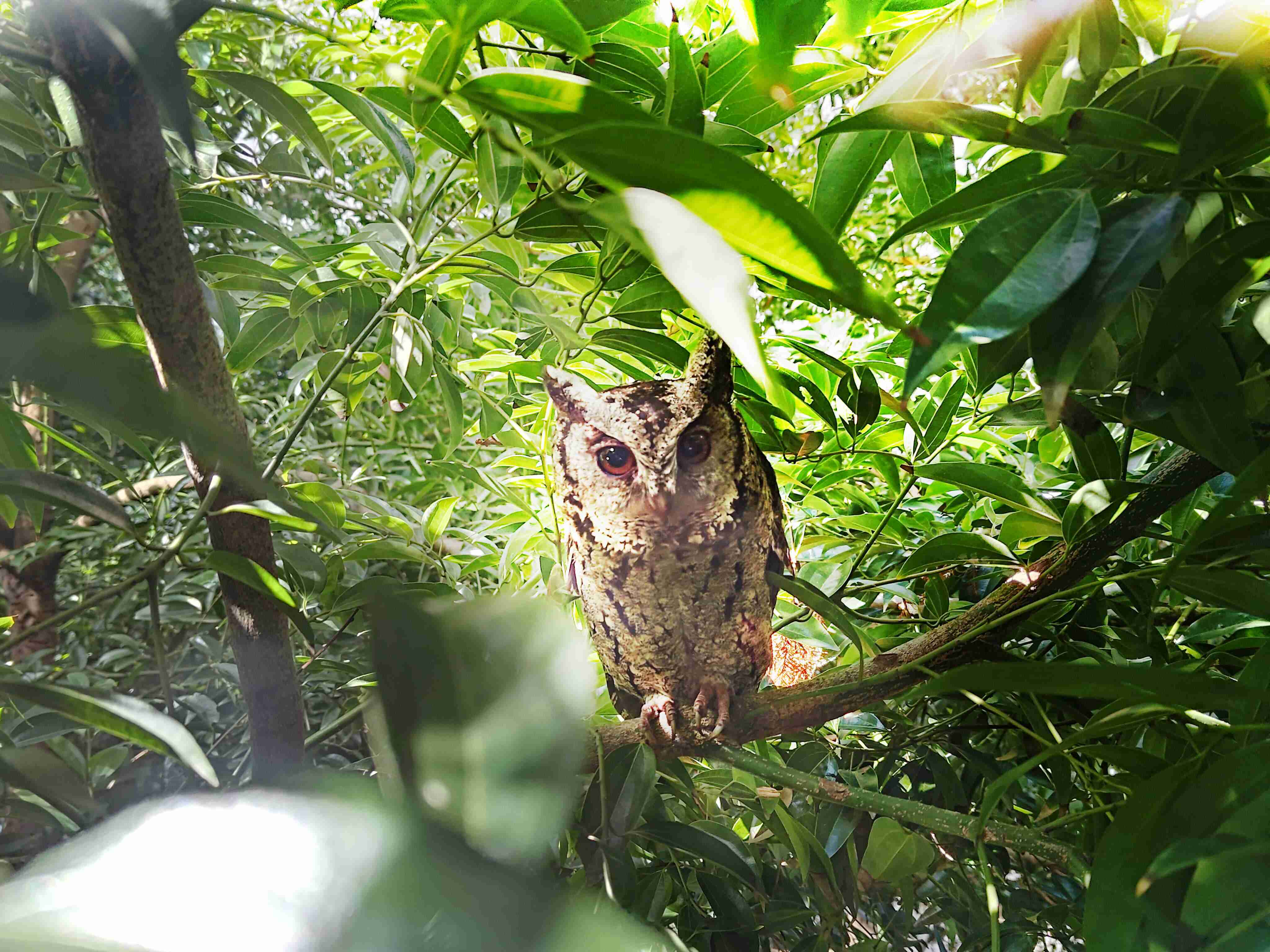 2121非凡致力提倡净零绿生活，，16年以来在全球各厂区植树逾百万棵，，造就各厂区树木蔚然成林，，，，犹如森林工厂，，，，成为许多生物的栖息地